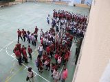 My Gallery (10/11)